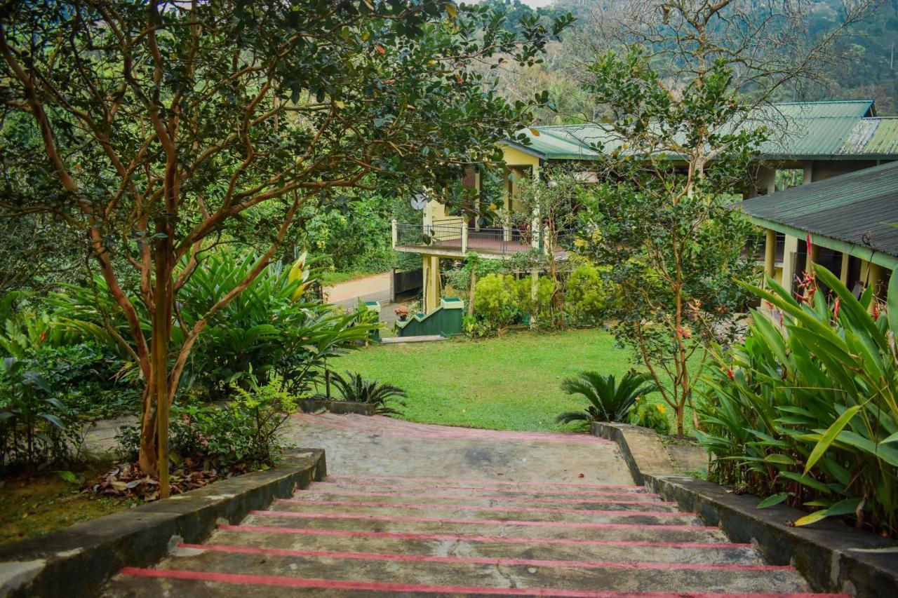 Blue Magpie Lodge Sinharaja Kudawe Ngoại thất bức ảnh